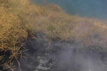 fog at the bottom of a lake while diving in the summerの写真素材