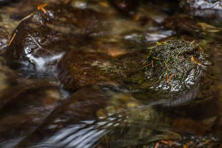 flat spot in a brook with moss while hiking