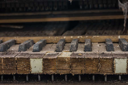 dusty keys from a piano makro view in a old houseの写真素材