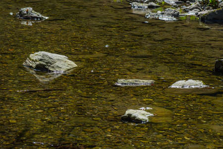 bright stones in a clear calm creek while hiking