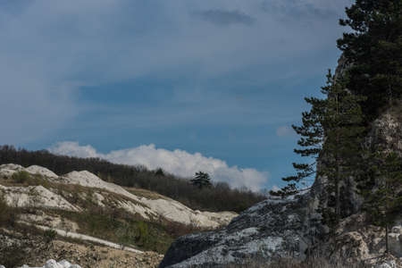 white landscape with rees in a lime quarryの写真素材