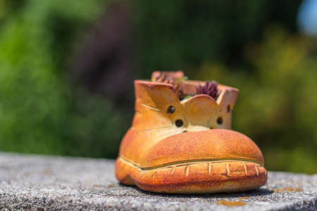 shoe for plant on a wall in the sun in the summer