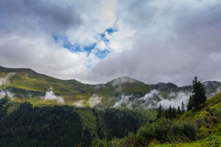 fine white fog in the mountains while hiking in the summerの写真素材