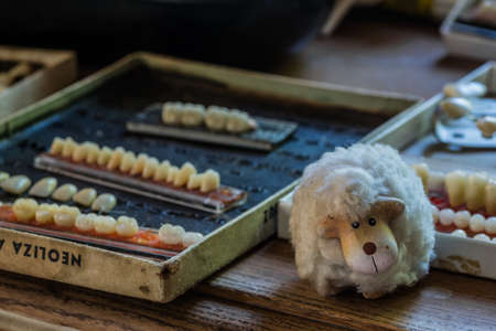 sorted implants and a little sheep in a old house