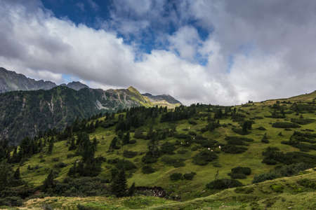 beautiful green mountain landscape while hiking in the summerの写真素材
