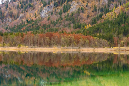 wonderful colorful reflection in autumn while hiking at a mountain lakeの写真素材