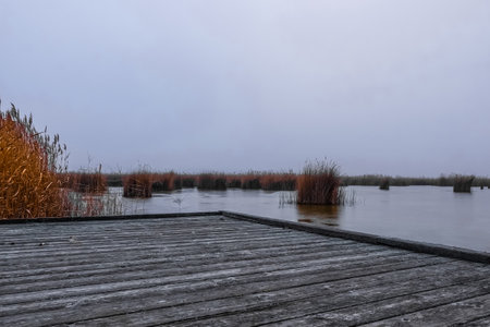 platform with old wood on a lake with fog in the winter