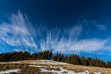 fine clouds and deep blue sky with trees on a hill in the winterの写真素材
