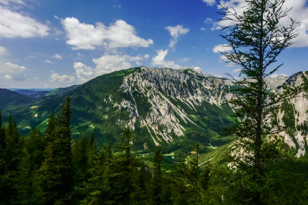 view to a beautiful mountain range while hiking in the summerの写真素材