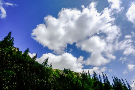 large white clouds on the blue sky and green landscape with many trees