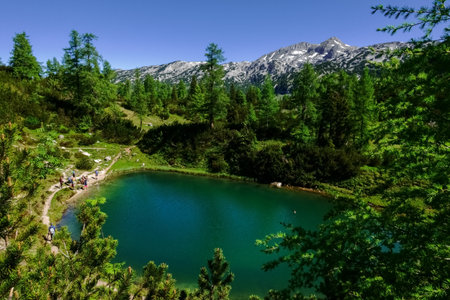 little green mountain lake between trees with hikers in the summerの写真素材