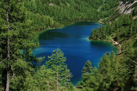 gorgeous deep blue mountain lake in a green nature reserve detail view