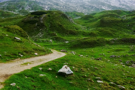 dirt road in a wonderful hilly green landscape in the mountainsの写真素材