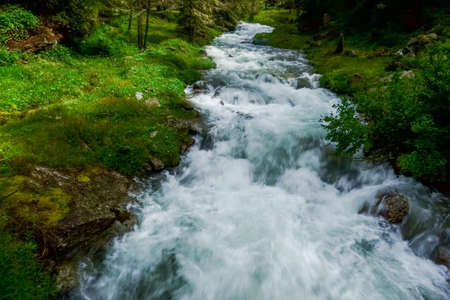 wonderful cold clear creek in a green nature while hiking in the summer