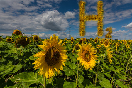 flowery h2 hydrogen letters over sunflowers electricity pylons and beautiful skyの写真素材