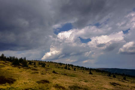 different clouds on the sky and a landscape with many little pine trees while hikingの写真素材