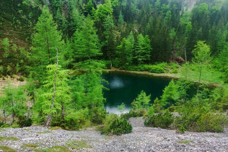 amazing mountain lake on the summit from a mountain with green trees in the natureの写真素材