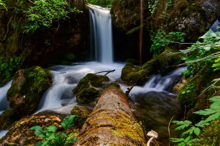 tree trunk on a little waterfall from a brook in the mountains from austria