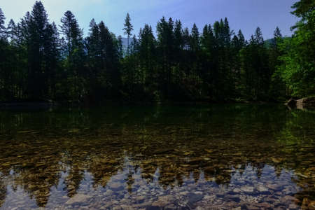 many stones on the ground from a mountain lake with reflections from the trees while hikingの写真素材