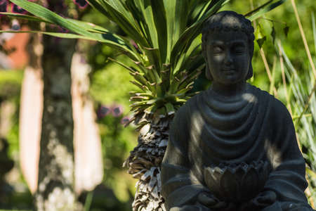budda figure in the shadow from a garden with palms and grasses like in bali vacationの写真素材