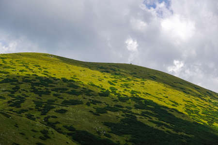 round hills with bright green and little brushes in a nature reserve in austriaの写真素材