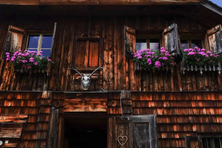 beautiful old wooden alpine hut with lilac flowers detail viewの写真素材