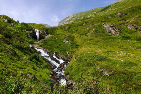 little waterfalls in green mountains of austria in the summerの写真素材