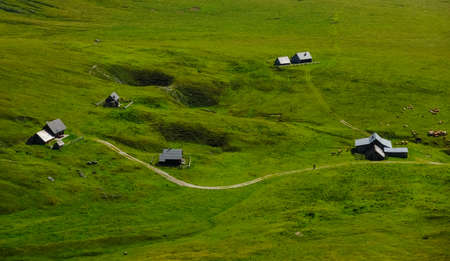 gorgeous green nature landscape with alpine huts a road and cowsの写真素材