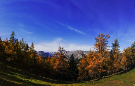 colorful trees while hiking in autumn montain landscape with sunshine panorama view