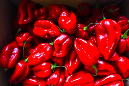 lot of red spicy habanero for a hot spicy meal