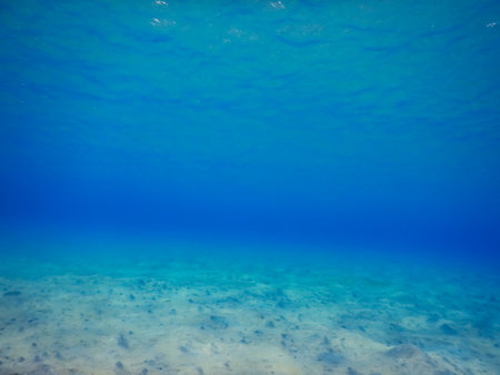 soft waves at the surface and sandy seabed in egyptの写真素材
