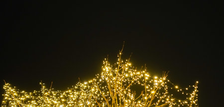 tree with many bright lights at a christmas market with black sky in the background panorama view