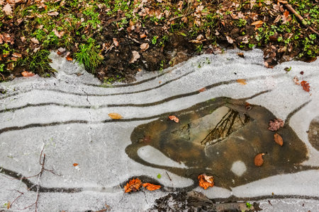 wonderful curved ice shapes in a lake with forest ground in the winterの写真素材