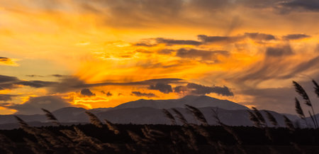 amazing colorful clouds at the sky during sundown in a flat landscape panorama viewの写真素材