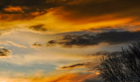 wonderful different colorful clouds at the sunset with a treeの写真素材