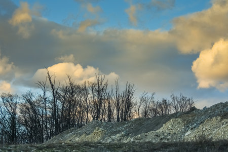 trees in a lime quarry with colorful clouds during sundown in the springの写真素材