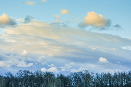 storm clouds during sundown and rain at the blue sky and trees in the foregroundの写真素材