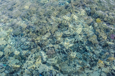 view from the jetty to the water with reflections and the colorful coral reefの写真素材