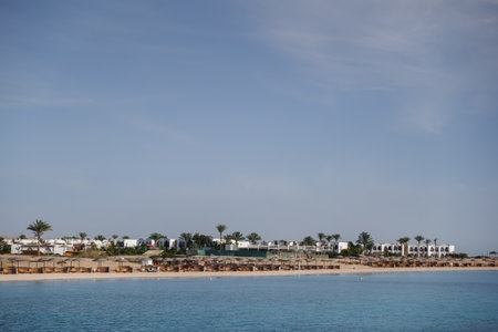 buildings palm trees and the beach from a resort in marsa alam on vacation in egyptの写真素材
