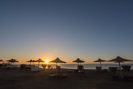 lot of beach umbrellas at the sea and blue sky without clouds during sunrise in egyptの写真素材