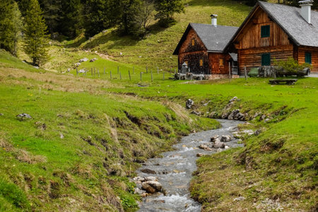 little brook with clear water on a meadow with two alpine huts in austriaの写真素材