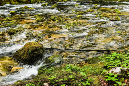 view to a wonderful clear brook with stones and green moss on itの写真素材