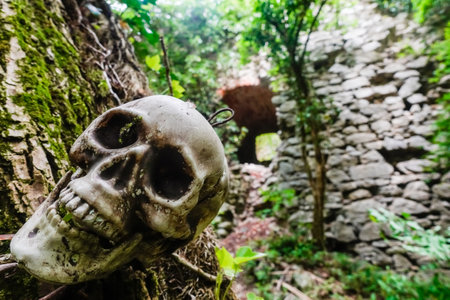 little skull hanging on a tree near a old castle in the forestの写真素材