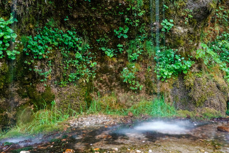 white atomized water from dripping water through overhanging conglomerate named rinnende mauer in a canyon from austriaの写真素材