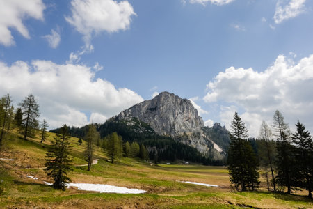 amazing valley with a high rocky mountain trees and green meadow on the wurzeralm in austriaの写真素材