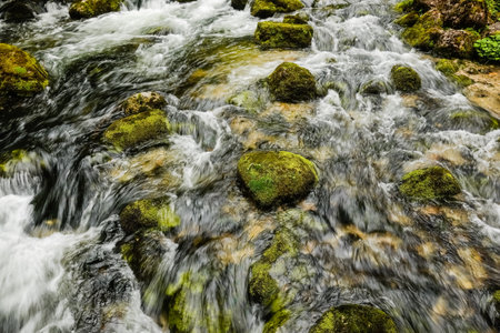 stones with green moss in a cold clear brook in the natureの写真素材