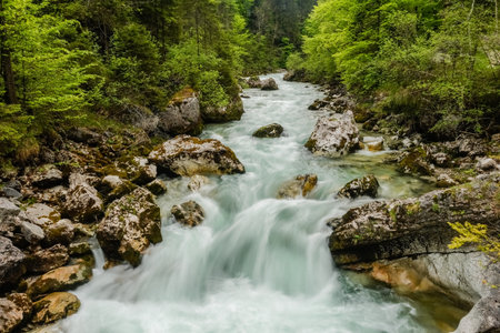 rushing torrent with white water and rocks in green nature auf austriaの写真素材