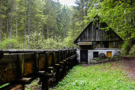 old watermill near a torrent during hiking in a green forest