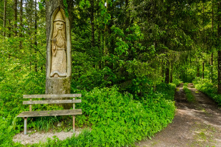 carved tree with a saint figure and a bench on a path through a green forestの写真素材
