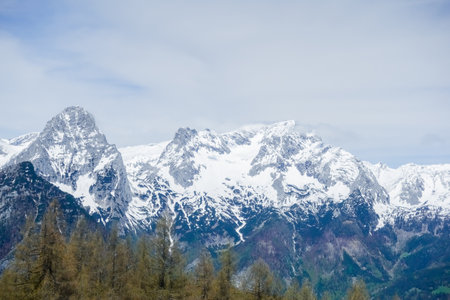 wonderful high snowy mountains in upper austria detail viewの写真素材